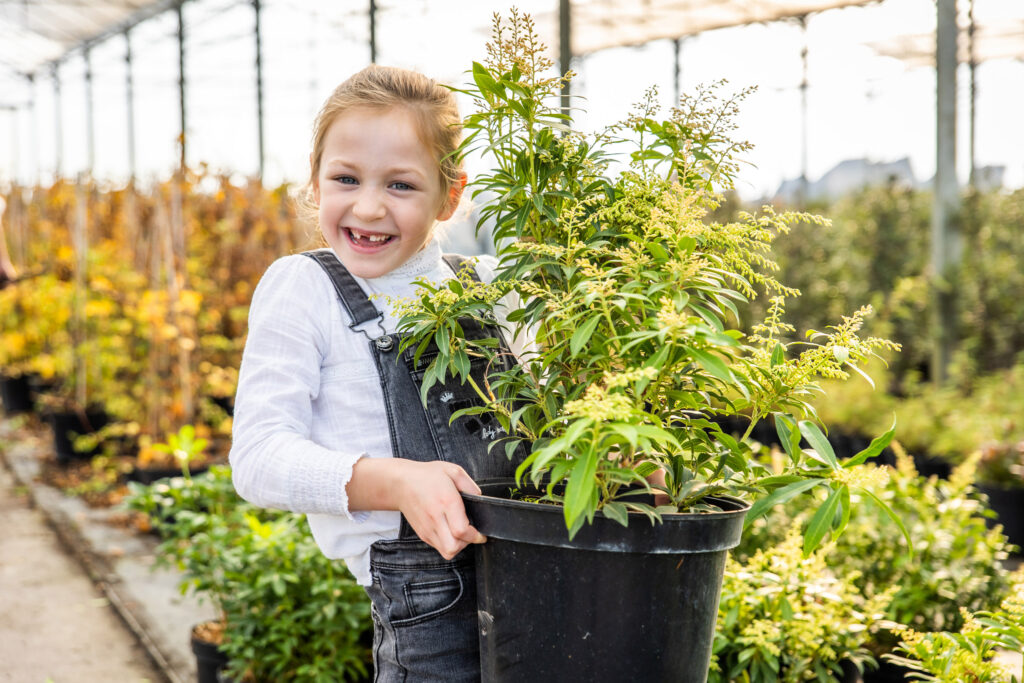 Een beplantingsplan op maat van jouw tuin