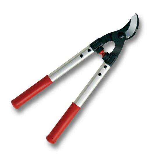 TAKKENSCHAAR 48CM, M, R/G