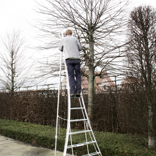DRIEPUNTLADDER 180 CM