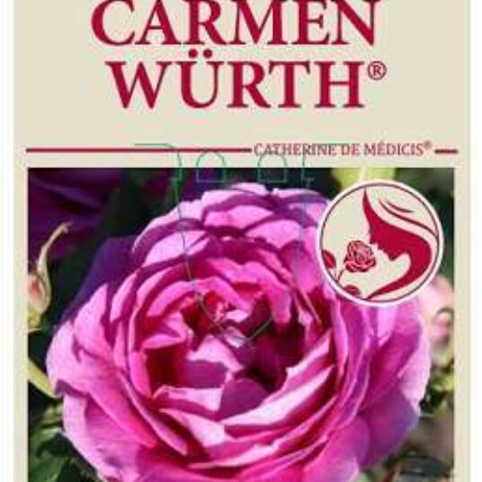 Rosa 'Carmen Würth'®