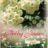 Rosa 'Bobbie James'