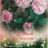 Rosa 'Blush Noisette' (= 'philippe noisette')