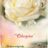 Rosa 'Chopin'®