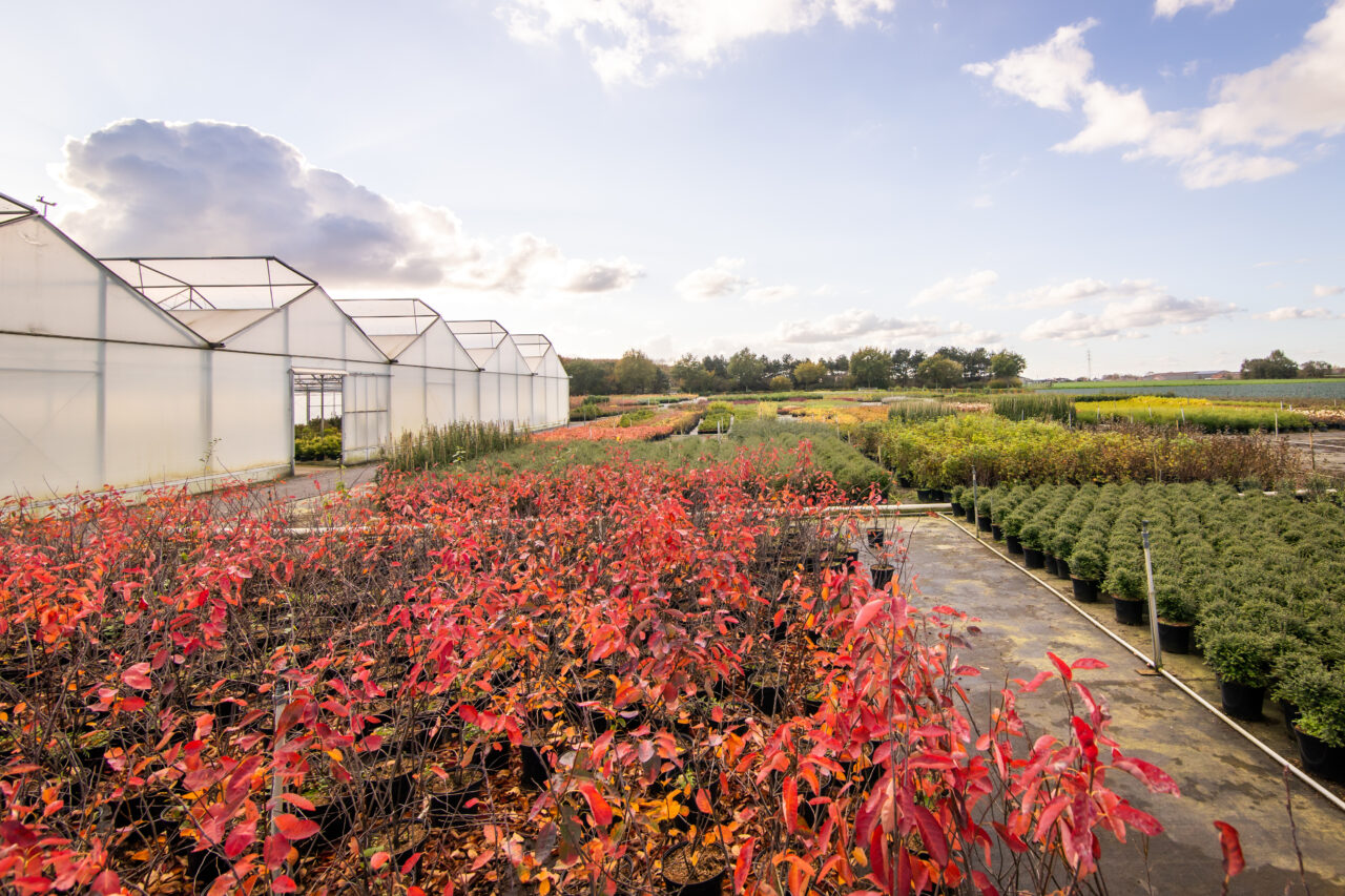 Bestel je planten en toebehoren